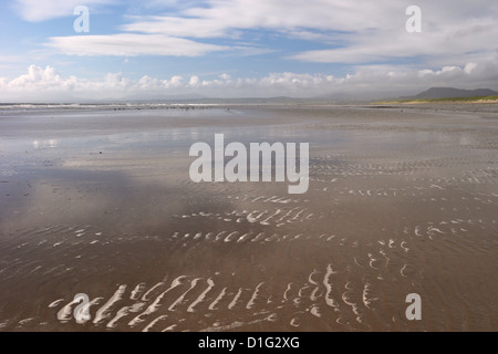 Harlech beach e Tremadog Bay in estate il sole, Gwynedd, Wales, Regno Unito, Europa Foto Stock