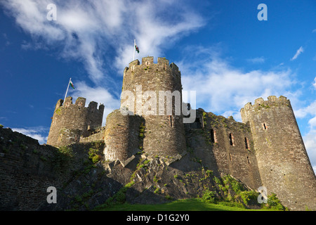 Conwy castello medievale in estate, Sito Patrimonio Mondiale dell'UNESCO, Gwynedd, il Galles del Nord, Regno Unito, Europa Foto Stock