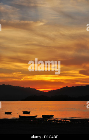 Tramonto sulla spiaggia. Il colore è dorato. Foto Stock