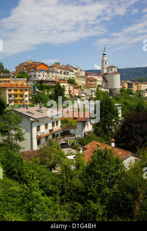 Vista della città e del Duomo di San Martino, Belluno, provincia di Belluno, Veneto, Italia, Europa Foto Stock
