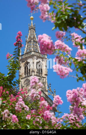 Duomo, Walther Platz, Bolzano, Provincia Autonoma di Bolzano, Trentino-Alto Adige, Italia, Europa Foto Stock