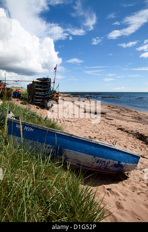 Barca da pesca sulla spiaggia a Carnoustie, Angus, Scotland, Regno Unito, Europa Foto Stock