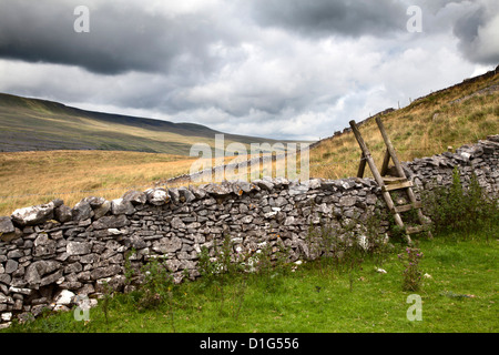 Asciugare la parete di pietra e il montante della scala a cicatrice Twisleton vicino Ingleton, Yorkshire Dales, North Yorkshire, Yorkshire, Inghilterra Foto Stock
