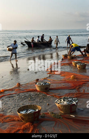 I pescatori locali lo sbarco delle catture, Benaulim, Goa, India, Asia Foto Stock