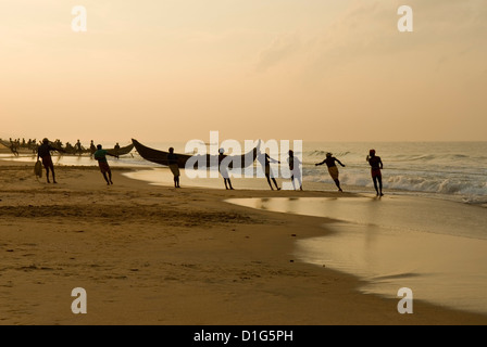 I pescatori alaggio in reti di sunrise, Chowara Beach, vicino a Kovalam, Kerala, India, Asia Foto Stock