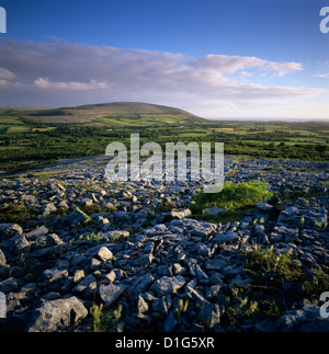 Pavimentazione di pietra calcarea, Burren, County Clare, Munster, Repubblica di Irlanda, Europa Foto Stock