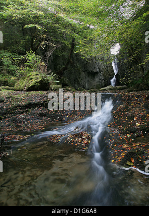 Forza Catrigg vicino a Settle è uno dei tanti spettacolari cascate di essere trovati nel Yorkshire Dales REGNO UNITO Foto Stock