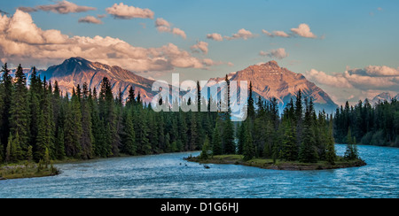 Foto di montagne e foreste dietro il Fiume Athabasca nel Parco Nazionale di Jasper. Foto Stock