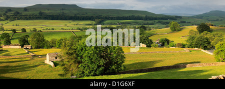 Alba su pascoli Askrigg; Askrigg village, Wensleydale; Yorkshire Dales National Park, England, Regno Unito Foto Stock