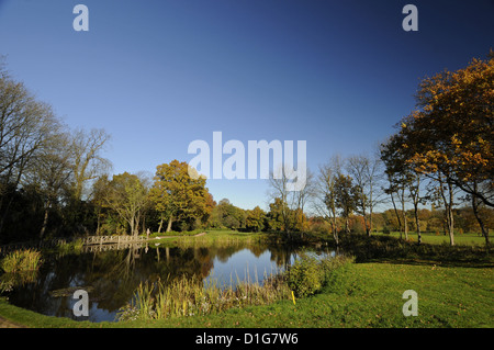 Autunno scena su un campo da golf a Bromley Kent England Foto Stock