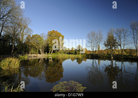 Autunno scena su un campo da golf a Bromley Kent England Foto Stock