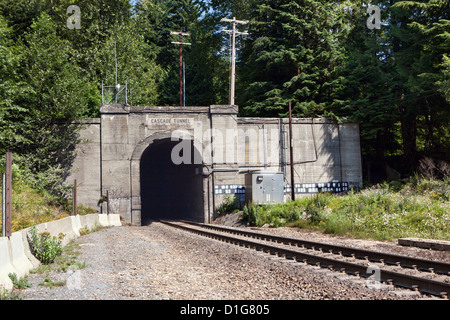 Nuovo Tunnel in cascata a Wellington, Tye, Washington Foto Stock