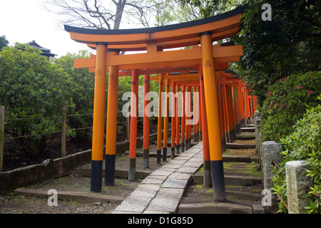 Righe di Torii gates all'Nezu Santuario, Bunkyo, Tokyo, Giappone. Foto Stock