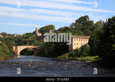 Il Fiume Tees, Barnard Castle, Superiore Teesdale, Contea di Durham, Inghilterra, Regno Unito Foto Stock