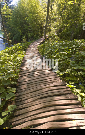 Elk192-1852v Croazia, il Parco Nazionale dei Laghi di Plitvice, boardwalk attraverso park Foto Stock