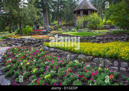 Cascata di giardini nel Parco Nazionale di Banff in città di Banff nelle Montagne Rocciose Canadesi in Alberta Canada Foto Stock