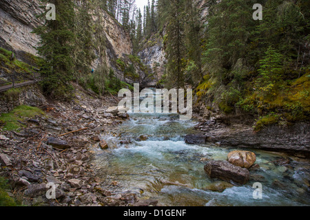 Johnson Creek in Johnson Canyon nel Parco Nazionale di Banff nelle Montagne Rocciose Canadesi in Alberta Canada Foto Stock