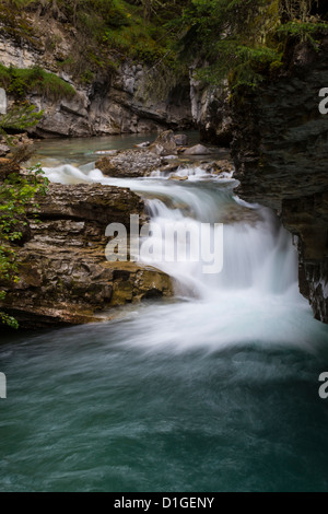 Johnson Creek in Johnson Canyon nel Parco Nazionale di Banff nelle Montagne Rocciose Canadesi in Alberta Canada Foto Stock