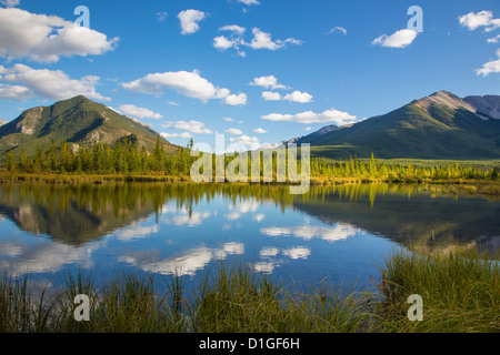 Mount Rundle e Montagna di Zolfo riflettendo in Laghi Vermillion a Banff National Park in Alberta Canada Foto Stock