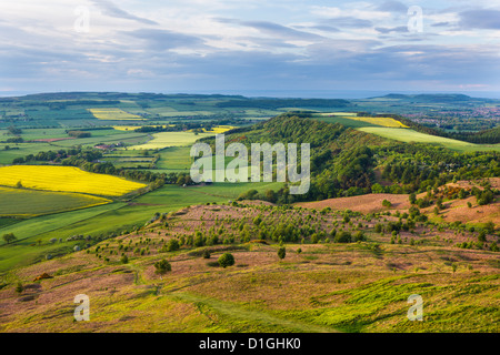 Guardando verso Teesside dalla sommità del Roseberry Topping, grande Ayton, North Yorkshire, Yorkshire, Inghilterra, Regno Unito Foto Stock