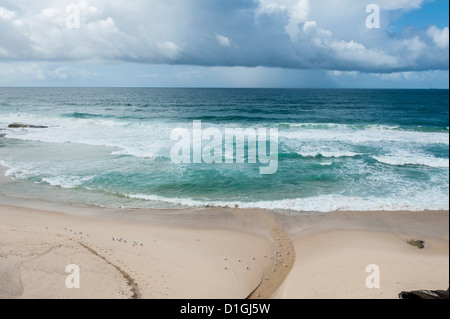 La passeggiata lungo il mare nella periferia est di Sydney è splendida, con splendide viste sulle spiagge e il Mare di Tasmania. Foto Stock