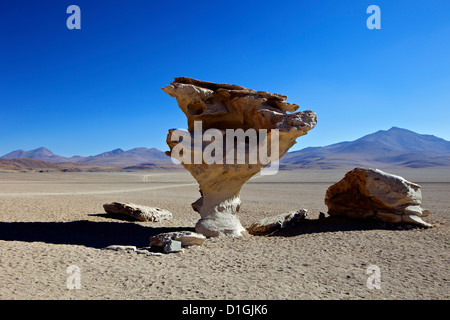 Arbol de Piedra (struttura in pietra), vento roccia erosa nei pressi di Laguna Colorada, Southwest Highlands, Bolivia, Sud America Foto Stock
