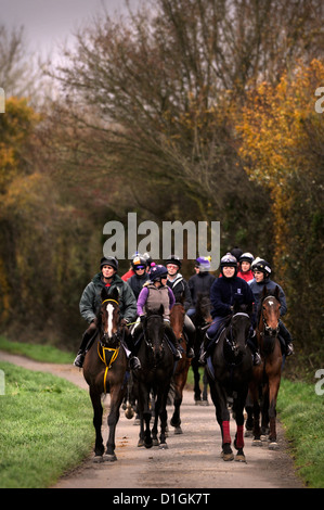 Una stringa di cavalli a Paul Nicholls scuderie Ditcheat, Somerset - tra cui il campione Kauto Star (foto a sinistra) principali Foto Stock