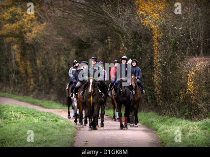 Una stringa di cavalli a Paul Nicholls scuderie Ditcheat, Somerset - tra cui il campione Kauto Star (foto a sinistra) principali Foto Stock