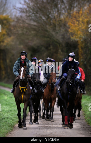 Una stringa di cavalli a Paul Nicholls scuderie Ditcheat, Somerset - tra cui il campione Kauto Star (foto a sinistra) principali Foto Stock