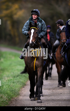 Una stringa di cavalli a Paul Nicholls scuderie Ditcheat, Somerset - tra cui il campione Kauto Star (nella foto) portando il modo Foto Stock