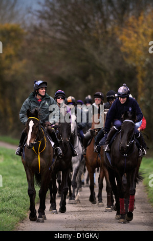 Una stringa di cavalli a Paul Nicholls scuderie Ditcheat, Somerset - tra cui il campione Kauto Star (foto a sinistra) principali Foto Stock