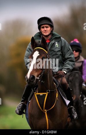 Una stringa di cavalli a Paul Nicholls scuderie Ditcheat, Somerset - tra cui il campione Kauto Star (nella foto) portando il modo Foto Stock