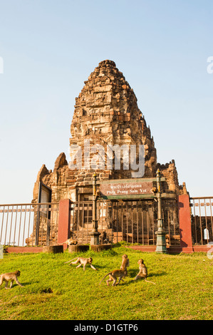 Le scimmie a giocare a Phra Prang Sam Yot tempio buddista, Lopburi, Thailandia, Sud-est asiatico, in Asia Foto Stock