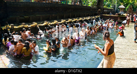 Panorama del popolo Balinese in Primavera sacra acqua nella piscina sacra a pura Tirta Empul Temple, Bali, Indonesia, sud-est asiatico Foto Stock