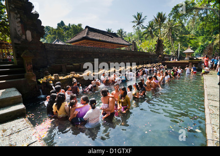 Popolo Balinese in primavera sacra acqua nella piscina sacra a pura Tirta Empul Tempio Tampaksiring, Bali, Indonesia Foto Stock
