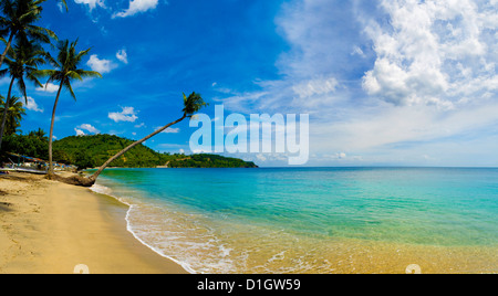 Panorama di un sovrastante Palm tree a Nippah sulla spiaggia tropicale dell'Isola di Lombok, Indonesia, Asia sud-orientale, Asia Foto Stock