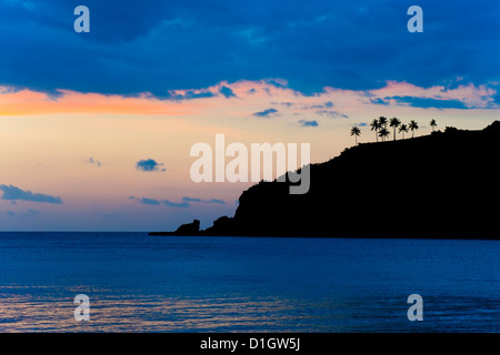 Silhouette di palme su una scogliera al tramonto, Nippah Beach, Lombok, Indonesia, Asia sud-orientale, Asia Foto Stock