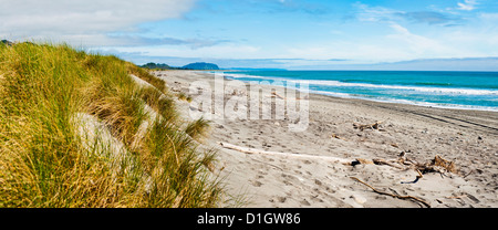 Panorama di Wild e il robusto Ross Beach, nella costa occidentale dell'Isola del Sud, Nuova Zelanda, Pacific Foto Stock