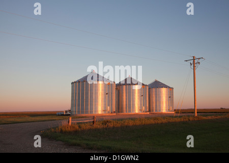 Silos per il grano a est di Redfield, South Dakota, nella luce della sera. Foto Stock