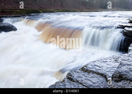 Medio vigore al Aysgarth Falls, Yorkshire Dales, REGNO UNITO Foto Stock