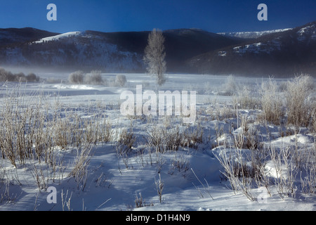 WY00164-00...WYOMING - Sunrise in Lamar valle del Parco Nazionale di Yellowstone. Foto Stock