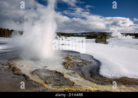 WY00210-00...WYOMING - Segheria Geyser nella Upper Geyser Basin del Parco Nazionale di Yellowstone. Foto Stock