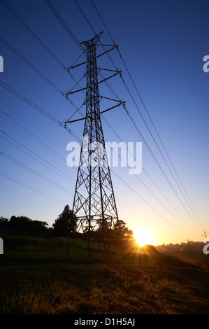 Stagliano elettricità tralicci e lavoratore in hard hat Foto Stock