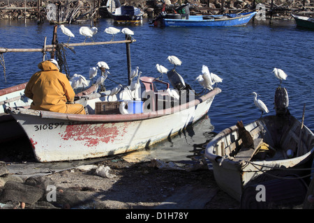 Fisherman nel piccolo porto di Pointe Courte in Sete, Languedoc Roussillon, Francia Foto Stock