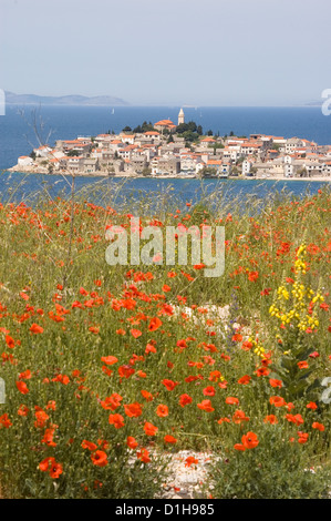 Elk192-2475v Croazia, Dalmazia, Primosten , Vista città attraverso acqua con papaveri rossi Foto Stock