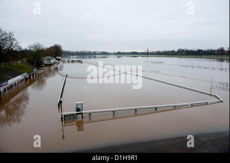 Il 22 dicembre 2012. L'ippodromo viene allagata come il fiume Severn burst si tratta di banche. Worcester, Regno Unito. Inondazioni hits Worcester e la Severn pianura alluvionale per la quarta volta nel 2012. Credito foto Graham M. Lawrence/Alamy Live News. Foto Stock