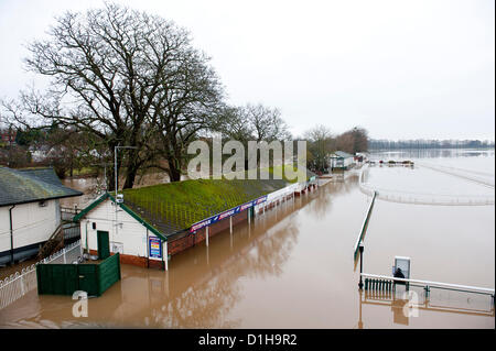 Il 22 dicembre 2012. L'ippodromo viene allagata come il fiume Severn burst si tratta di banche. Worcester, Regno Unito. Inondazioni hits Worcester e la Severn pianura alluvionale per la quarta volta nel 2012. Credito foto Graham M. Lawrence/Alamy Live News. Foto Stock