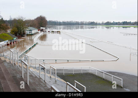 Il 22 dicembre 2012. L'ippodromo viene allagata come il fiume Severn burst si tratta di banche. Worcester, Regno Unito. Inondazioni hits Worcester e la Severn pianura alluvionale per la quarta volta nel 2012. Credito foto Graham M. Lawrence/Alamy Live News. Foto Stock