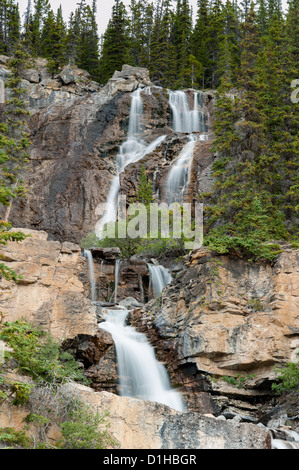 Groviglio Creek Falls nel Parco Nazionale di Jasper, Alberta, Canada Foto Stock