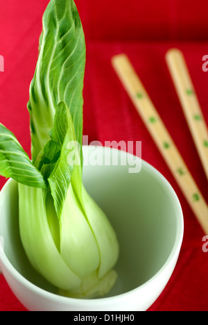 Germogli verdi di origine vegetale pak choi in una ciotola bianco su di uno sfondo di colore rosso Foto Stock